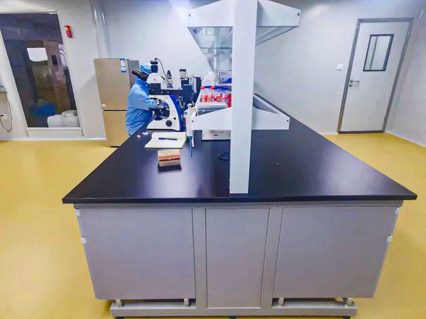 濱城生物醫藥產業迎來新里程碑 “泰達造”仿生基質支架突破性面世