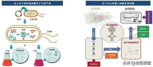 生物坑？轉(zhuǎn)行跳槽別慌 這3高薪藍(lán)海深度技術(shù)，國(guó)家隊(duì)在投入巨資（有案例拆解+真實(shí)薪酬分化落差心得故事拆解即未來職業(yè)發(fā)展變現(xiàn)模型…